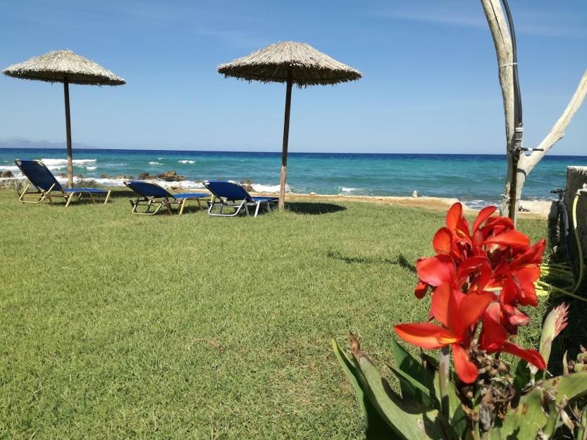 Studio Thalassa Kypseli Exteriér fotografie